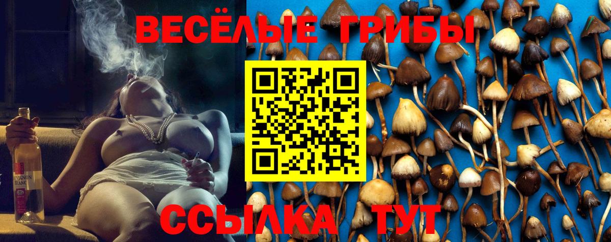 Псилоцибиновые грибы Magic Shrooms Ишимбай
