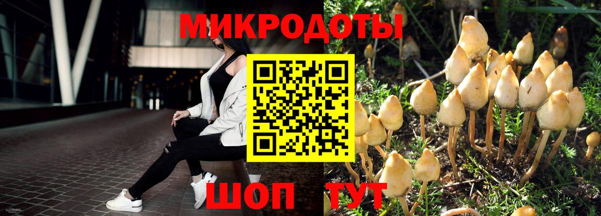 Псилоцибиновые грибы ЛСД  Вход с VPN  Ишимбай 